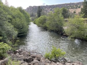Scenic river flowing through a canyon with lush green trees and rocky cliffs at the SOAK festival grounds