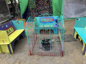 Brightly painted wooden benches in yellow, purple, and turquoise surrounding a fire pit area with beaded curtain backdrop