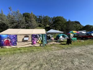 Pickleodeon outdoor movie theater tent decorated with colorful jellyfish tapestries and signage at festival